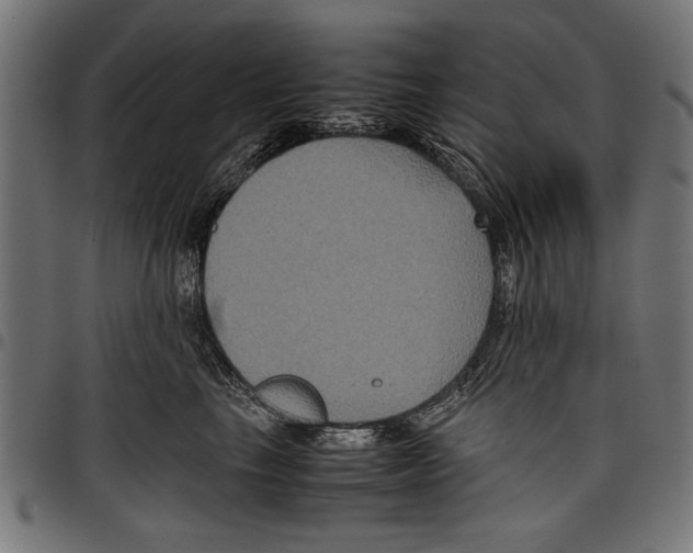 X0000097660665200803280952