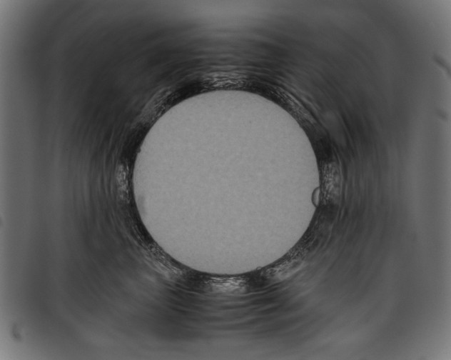 X0000097660667200803280952