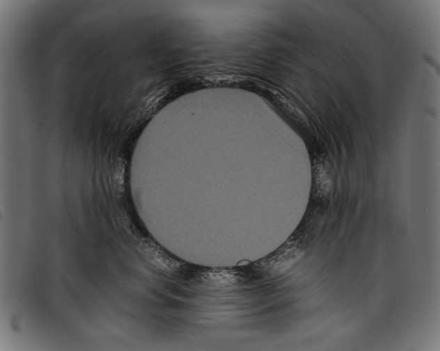 X0000097660668200803280952