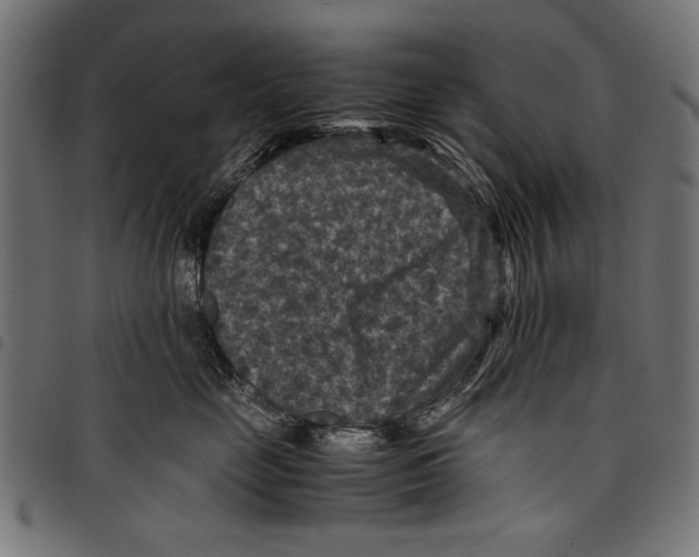 X0000097660669200803280952