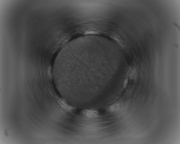 X0000097660670200803280952