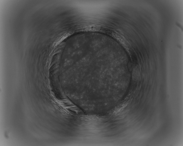 X0000097660673200803280951