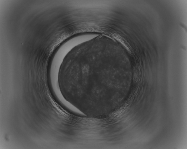 X0000097660677200803280951