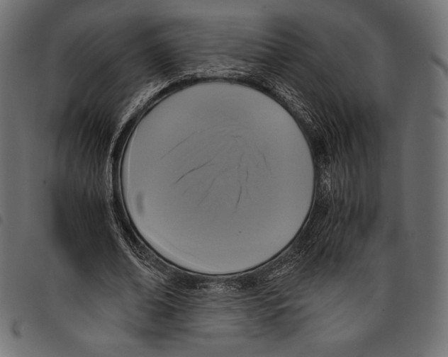 X0000097660678200803280951
