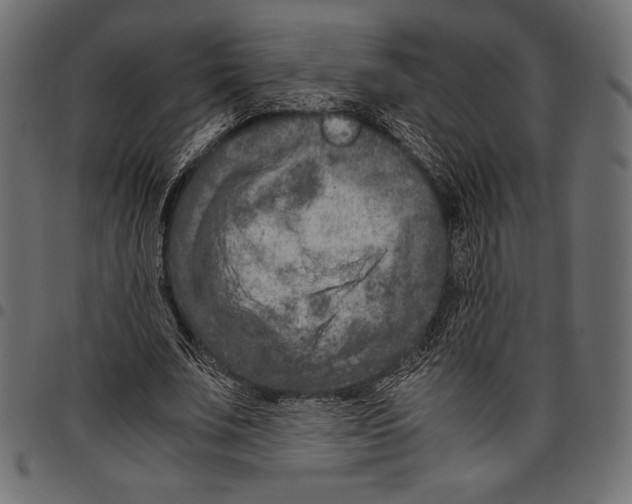 X0000097660679200803280951