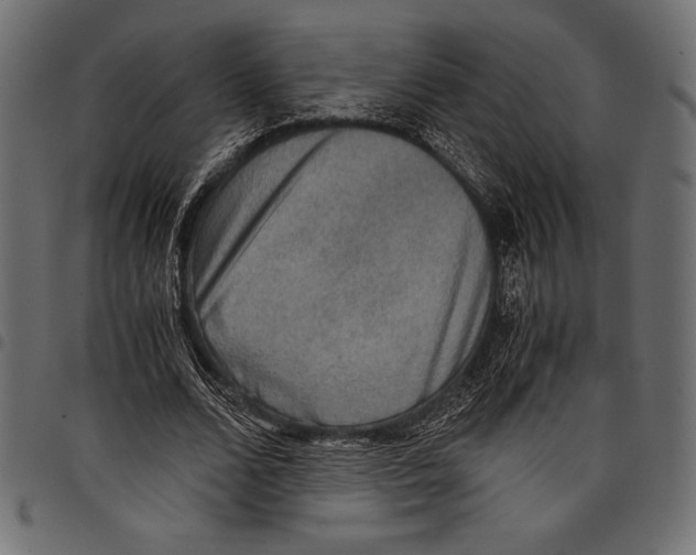 X0000097660680200803280951