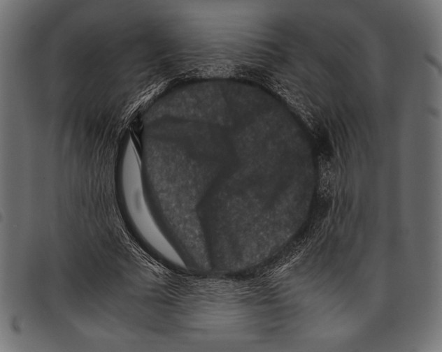 X0000097660681200803280951