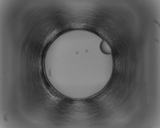 X0000097660682200803280951
