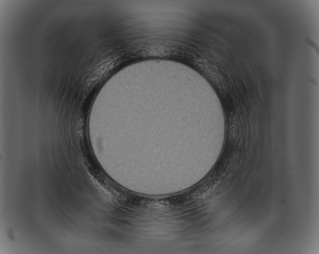 X0000097660683200803280951