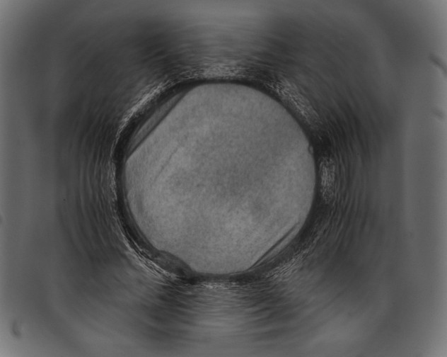 X0000097660684200803280951