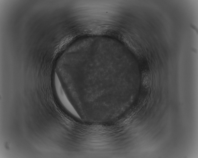 X0000097660685200803280951