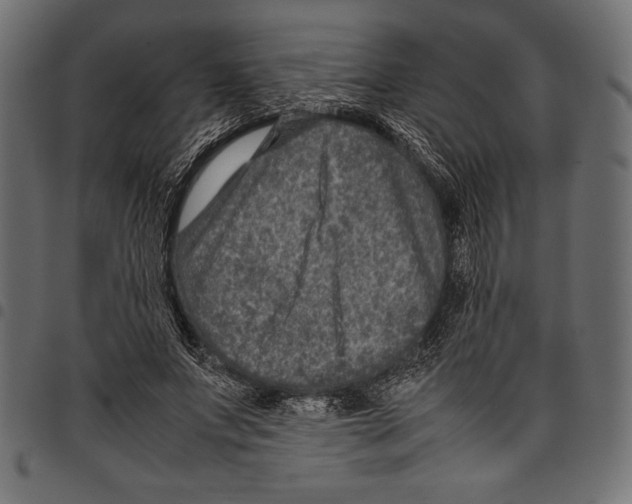 X0000097660687200803280951