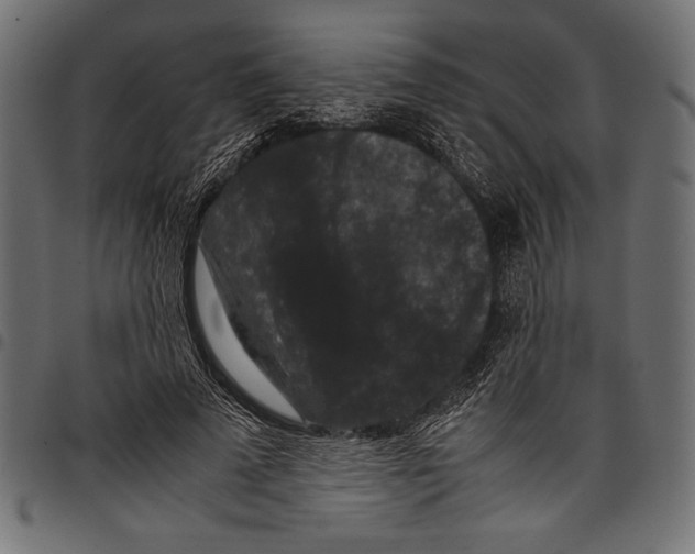 X0000097660689200803280951