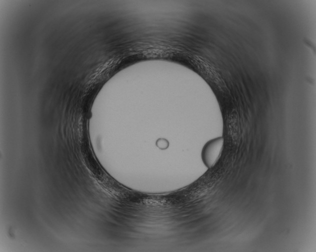 X0000097660690200803280951