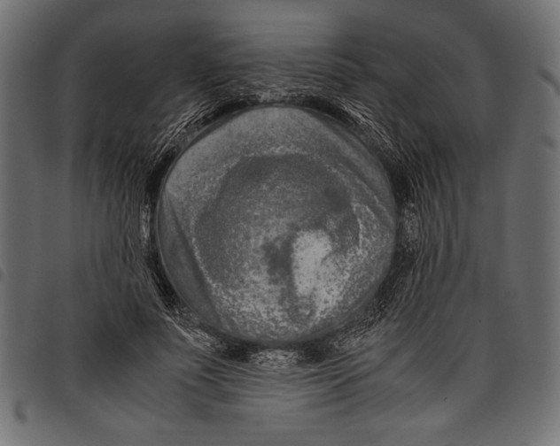 X0000097660691200803280951