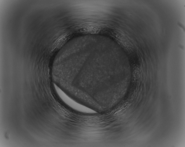 X0000097660693200803280951