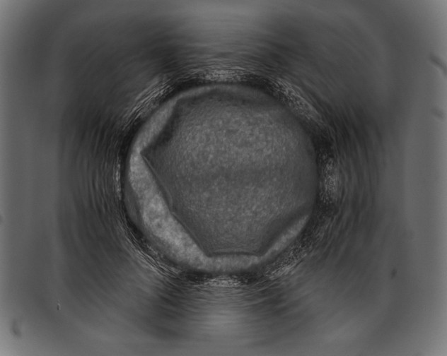 X0000097660696200803280951