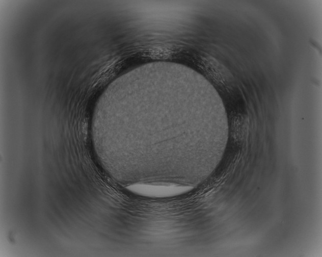 X0000097660697200803280951