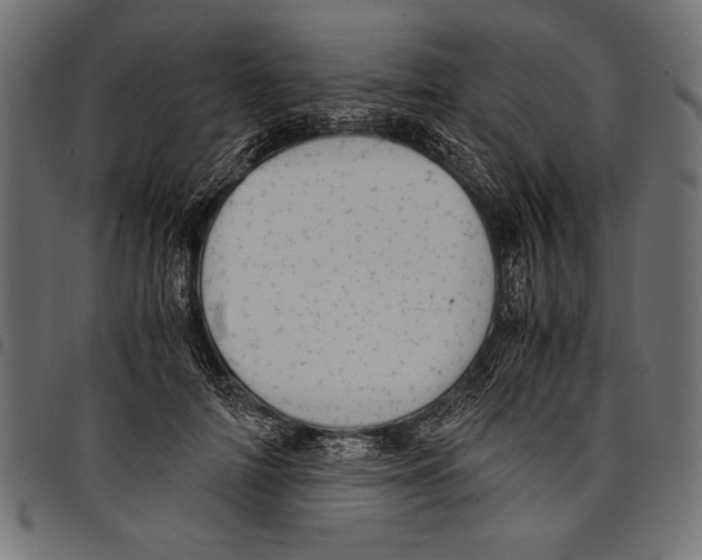 X0000097660698200803280951