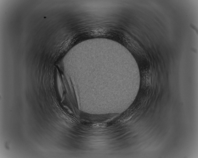 X0000097660700200803280951