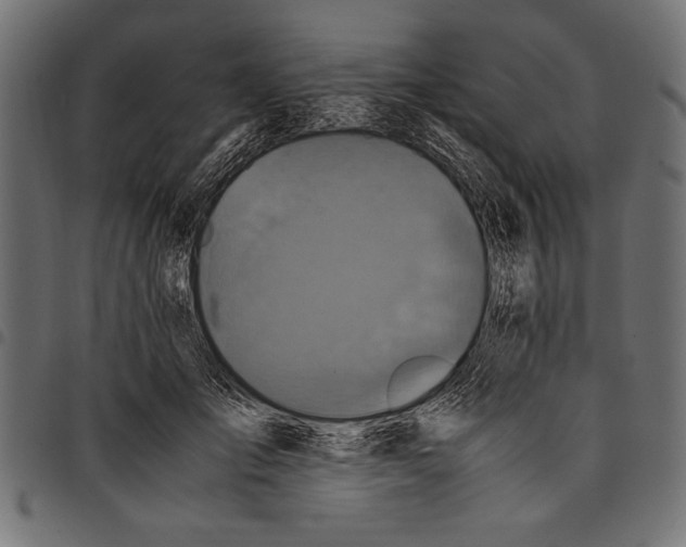 X0000097660701200803280951