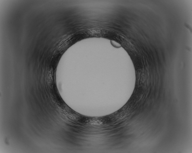 X0000097660702200803280951