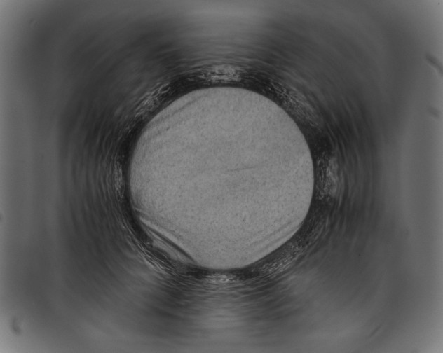 X0000097660704200803280951