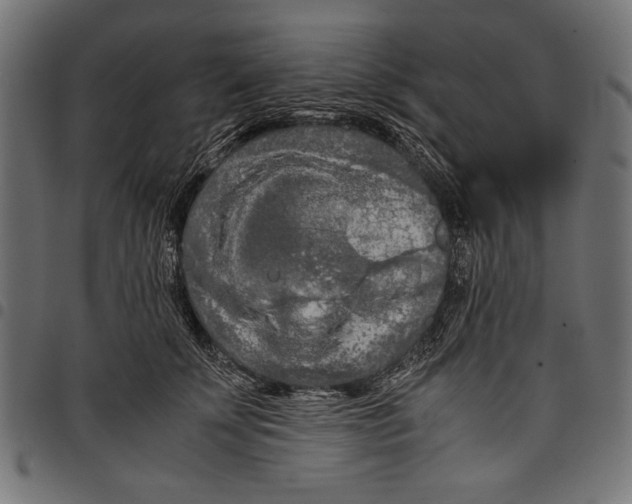 X0000097660707200803280951