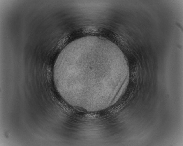 X0000097660708200803280951