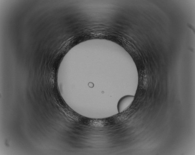 X0000097660710200803280951