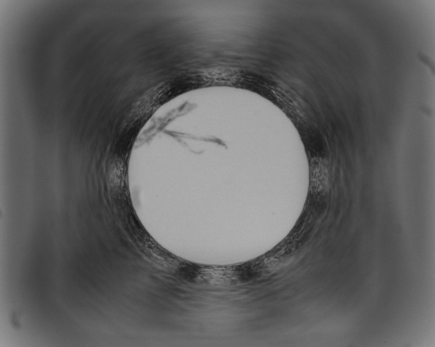 X0000097660713200803280951