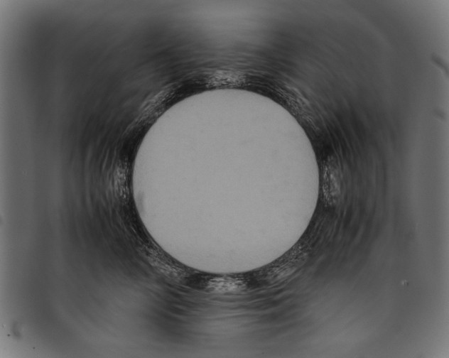X0000097660714200803280951