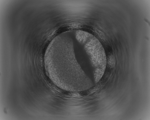 X0000097660715200803280951