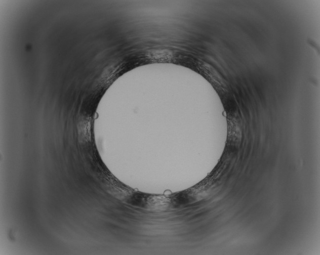 X0000097660717200803280951