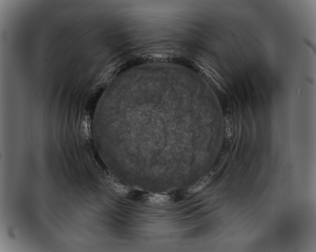 X0000097660718200803280951