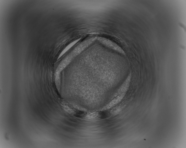 X0000097660720200803280951