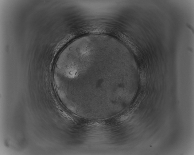 X0000097660721200803280950