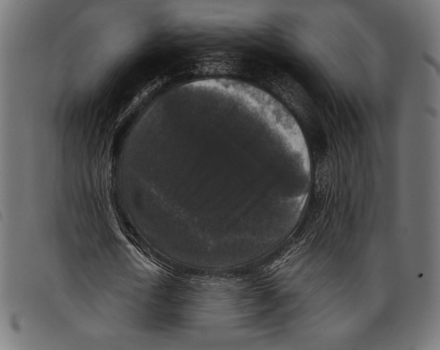 X0000097660722200803280950