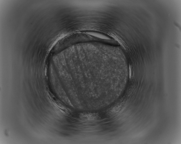 X0000097660723200803280950