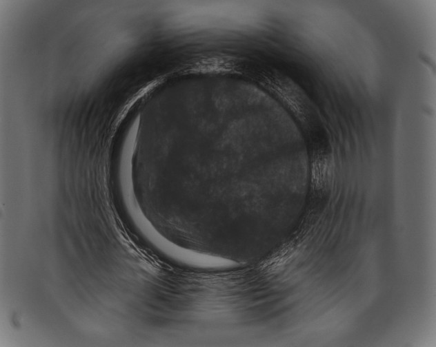 X0000097660724200803280950