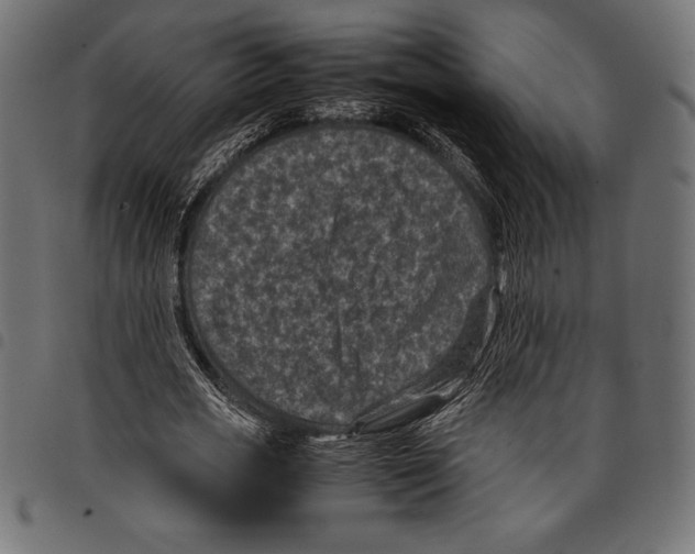X0000097660725200803280950
