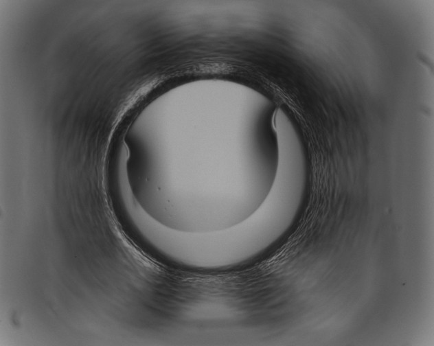 X0000097660726200803280950