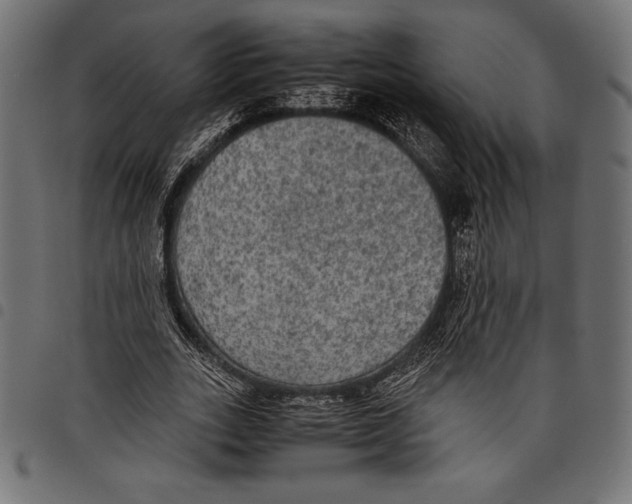 X0000097660727200803280950