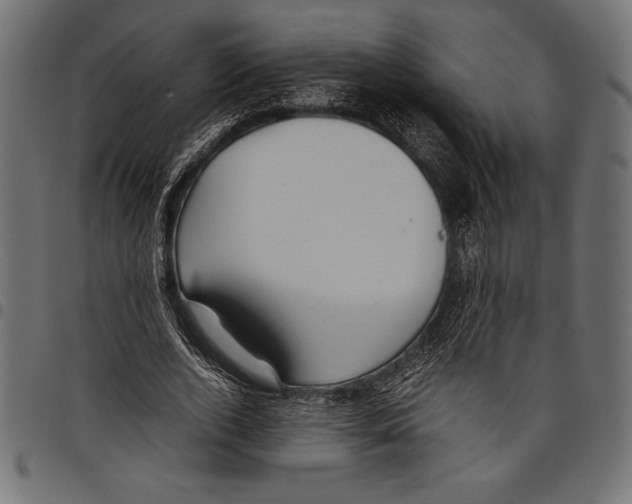 X0000097660728200803280950