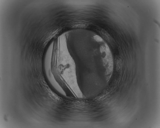 X0000097660729200803280950