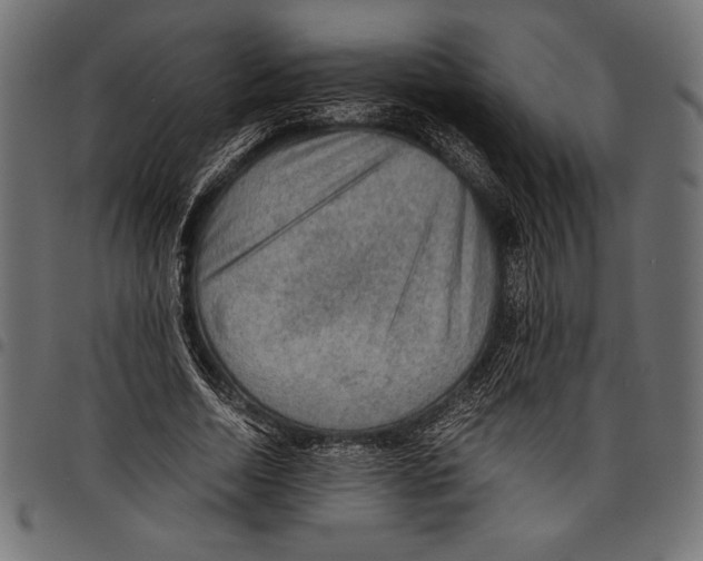 X0000097660730200803280950
