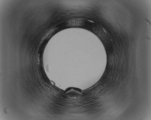 X0000097660731200803280950