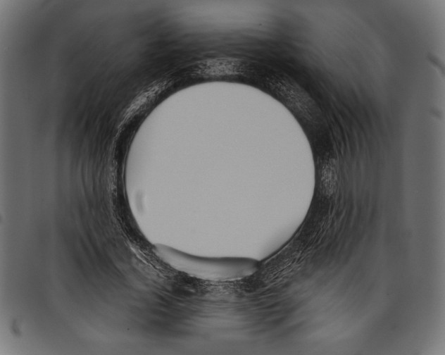 X0000097660732200803280950