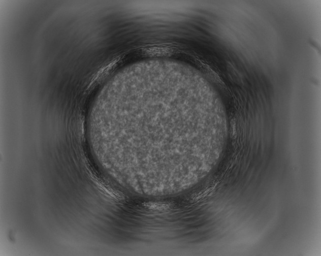 X0000097660733200803280950