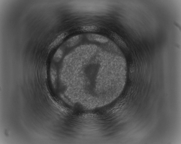X0000097660734200803280950